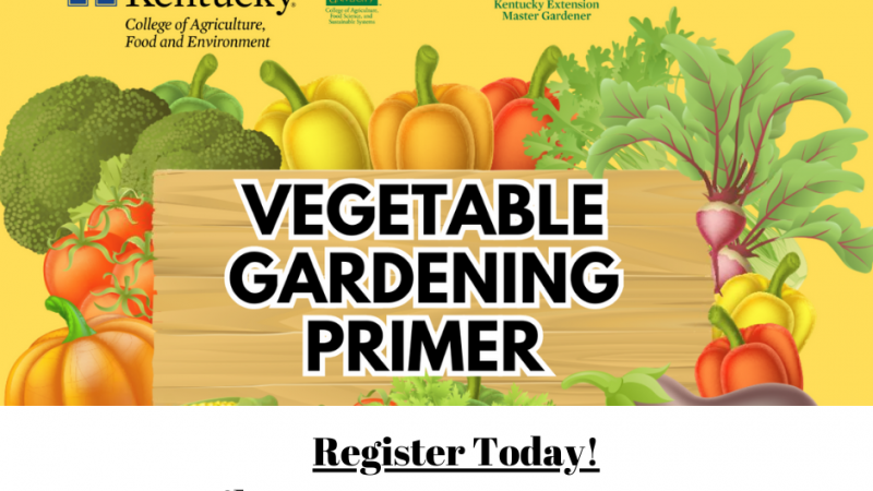 Vegetable Gardening Primer