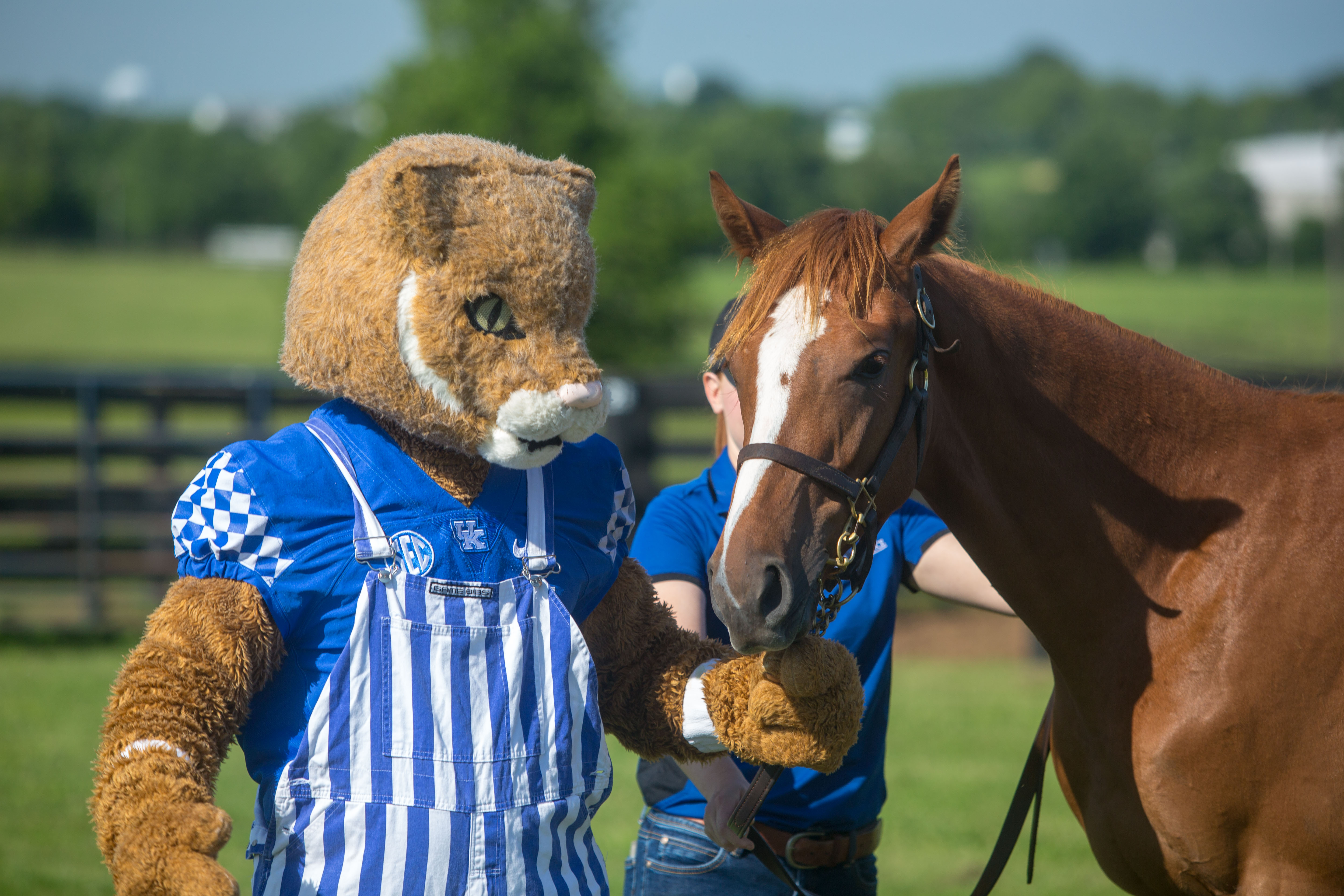 Wally and horse