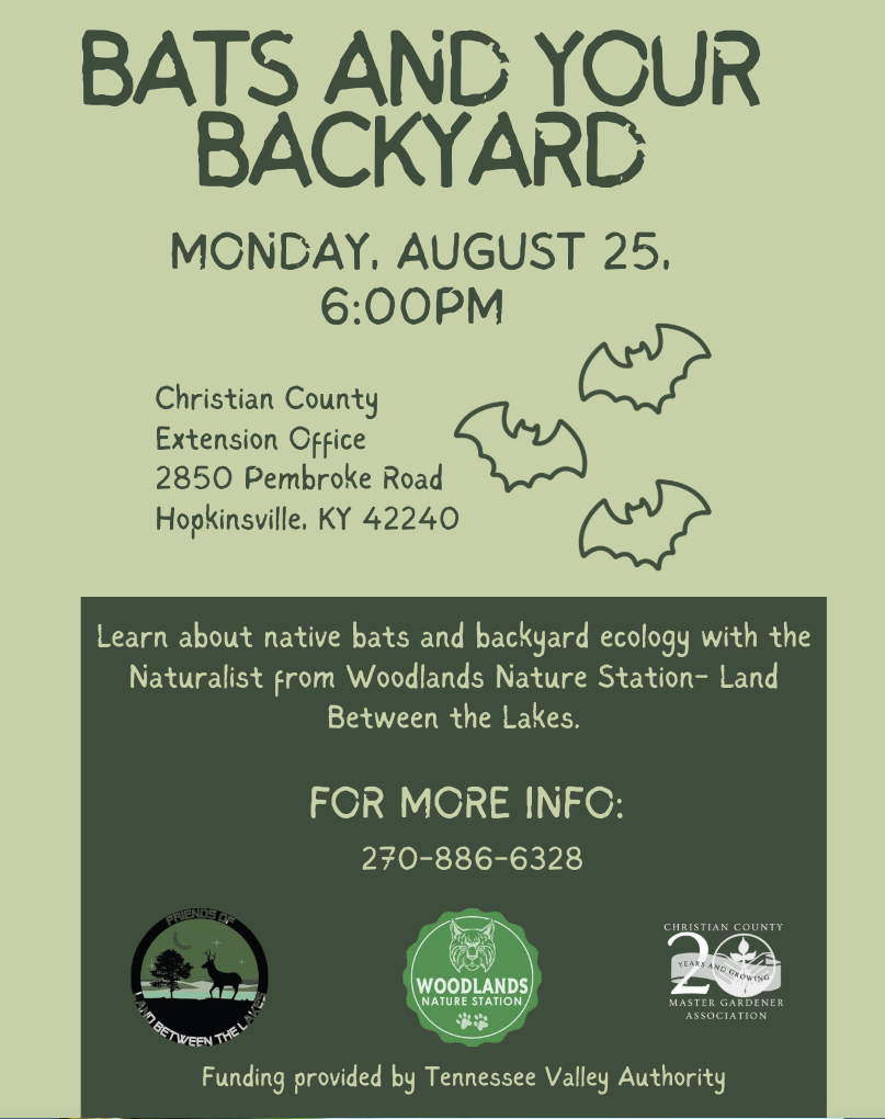 Bats and Your Backyard Flyer