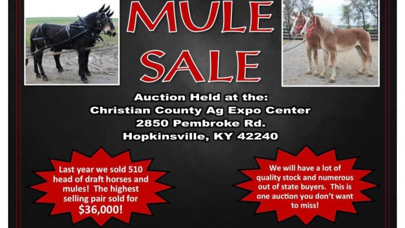 Flyer for Hoover January 2023 Sale
